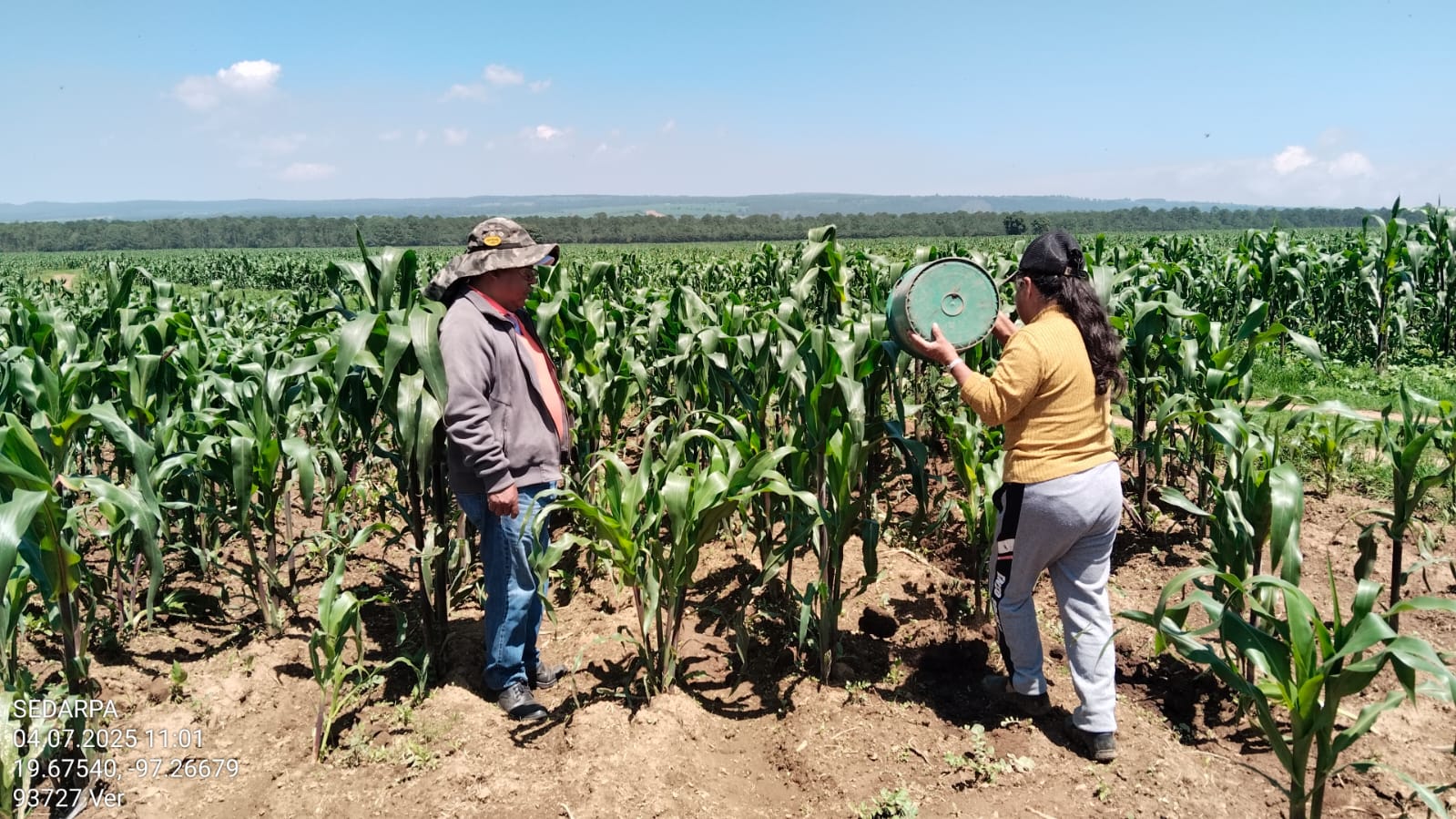 Biofertilizante de Altosano – Granjas Carroll impulsa cultivos en Veracruz y Puebla